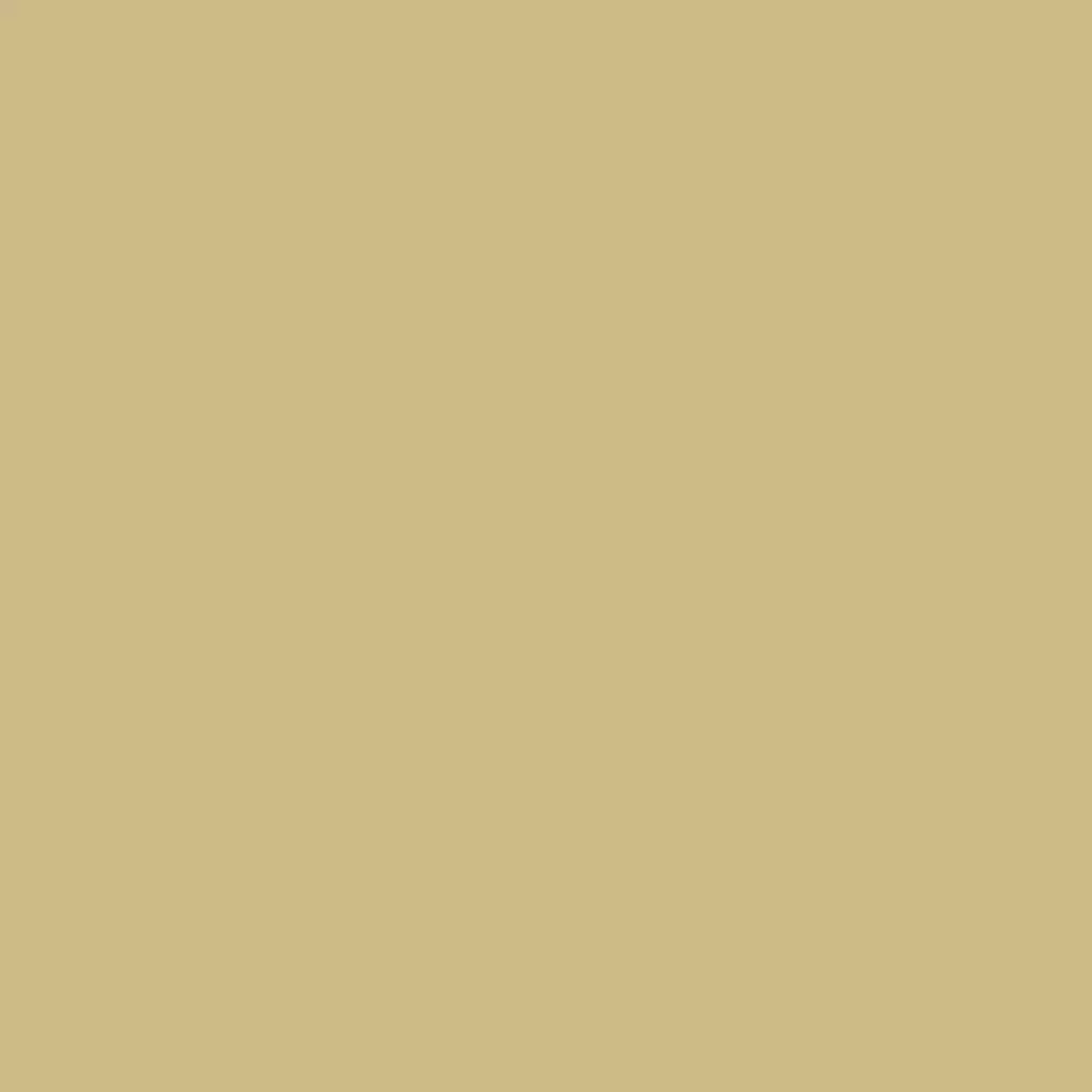 RAL 1000 Grünbeige hausturen turfarben ral-farben ral-1000-gruenbeige texture